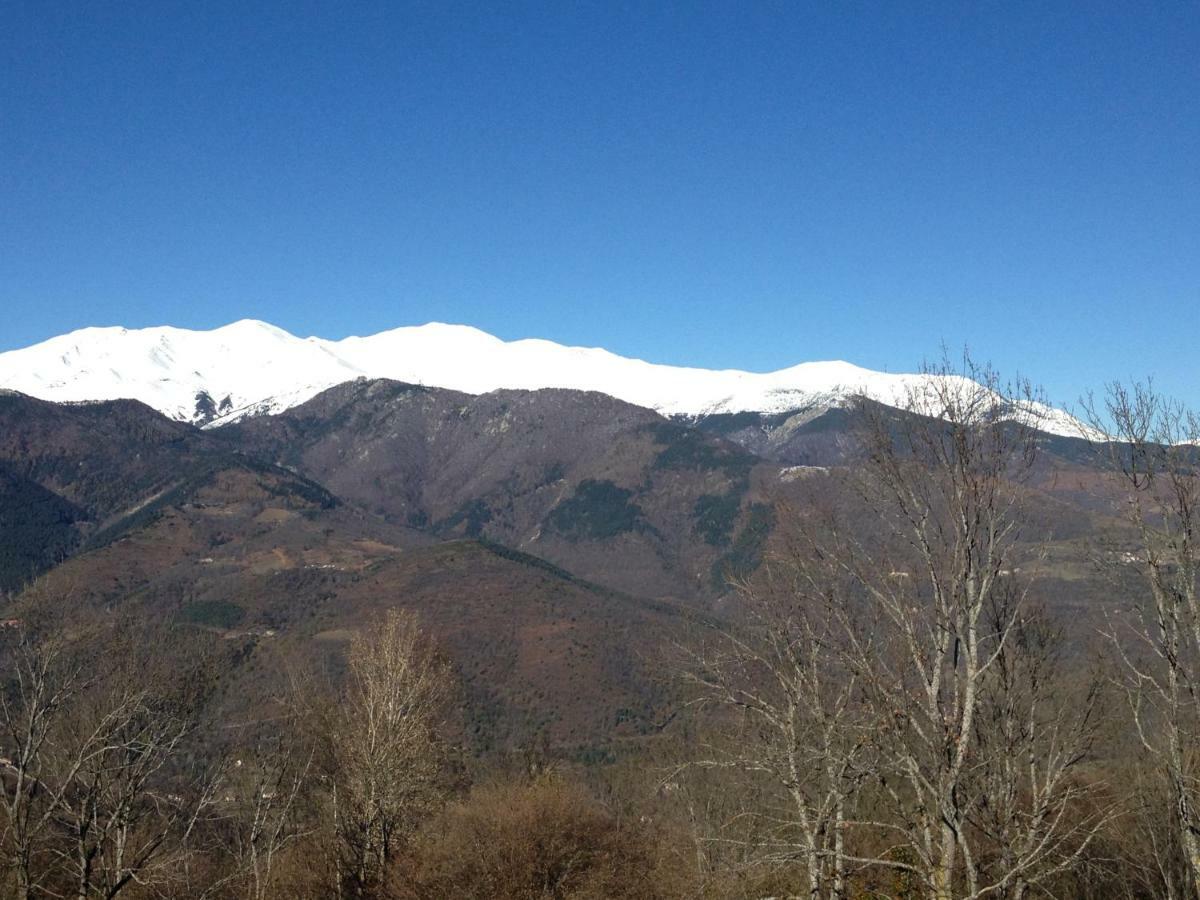 Casa Rural Mollo, Vall De Camprodon Bagian luar foto